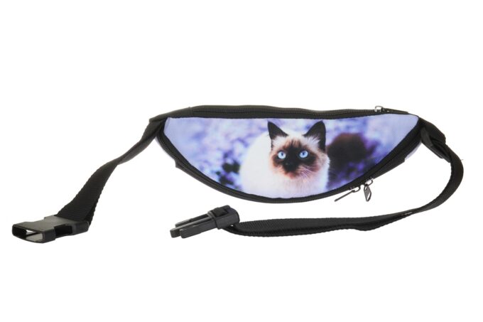 Adrianoss </br> <div class="adrianoss-model"> Kot 1</div>