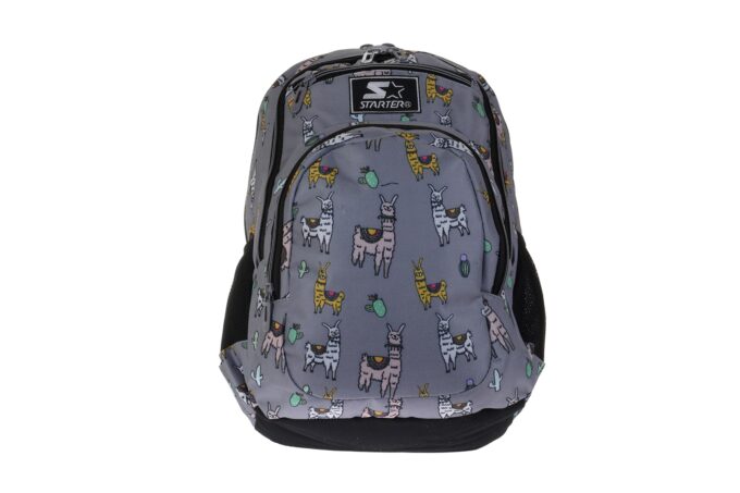 Starter</br> <div class="adrianoss-model"> 8858</div>