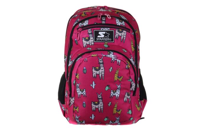 Starter</br> <div class="adrianoss-model"> 8858</div>