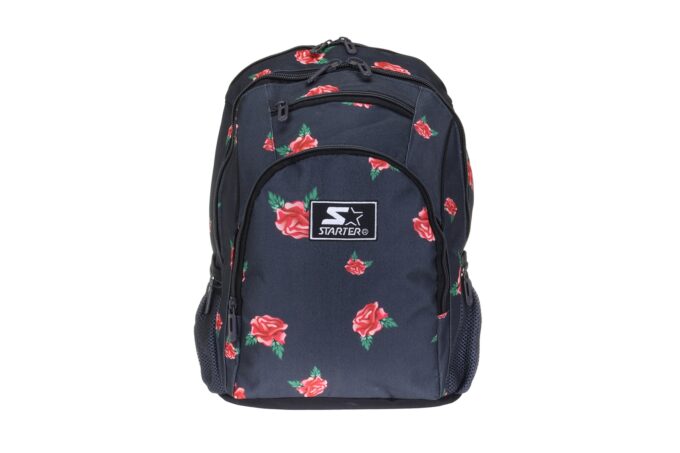 Starter</br> <div class="adrianoss-model"> 8895</div>