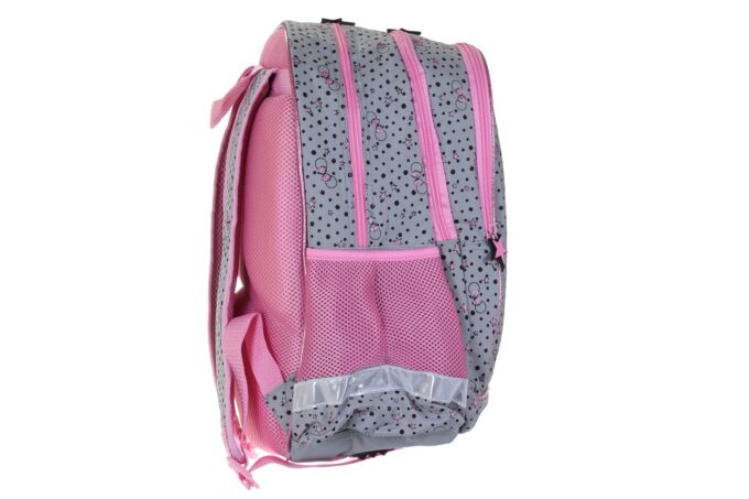 PASO</br> <div class="adrianoss-model"> BOW-YOU-TIFUL MINNIE</div>