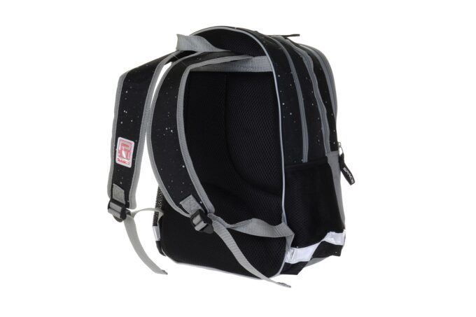 PASO</br> <div class="adrianoss-model"> NASA</div>