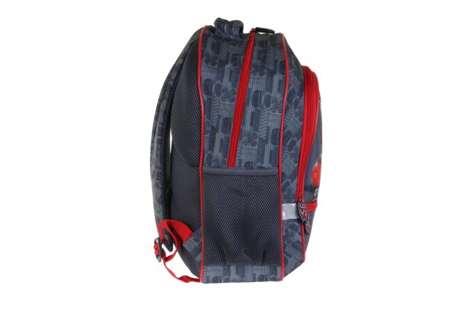 PASO</br> <div class="adrianoss-model"> AUTA</div>