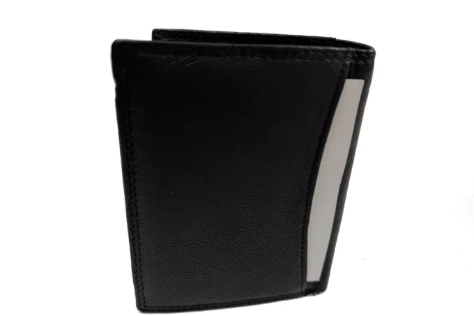 Wild Nicolas</br> <div class="adrianoss-model"> 308P </div>