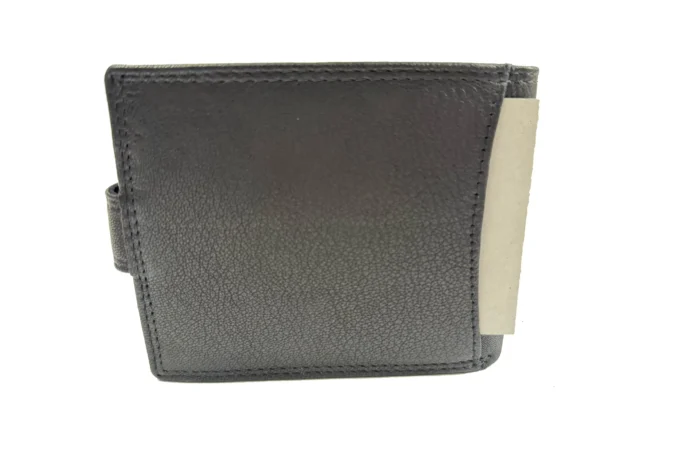 Wild Nicolas</br> <div class="adrianoss-model"> 311PL </div>