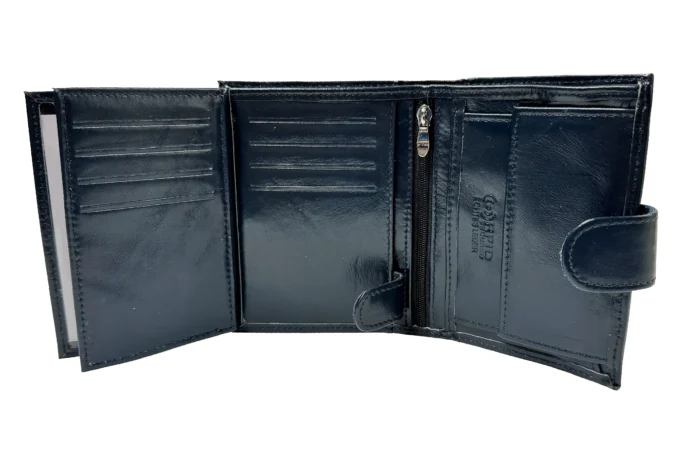 Alessandro Paoli </br> <div class="adrianoss-model">98-111</div>